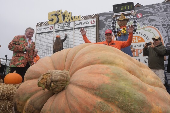 Pumpkin weighing 2,471 pounds wins California contest